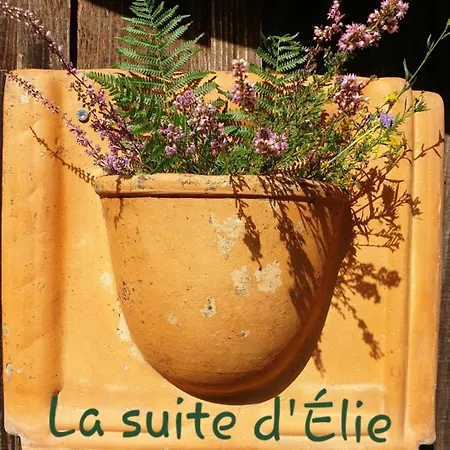 La D'elie 펜션 Marions